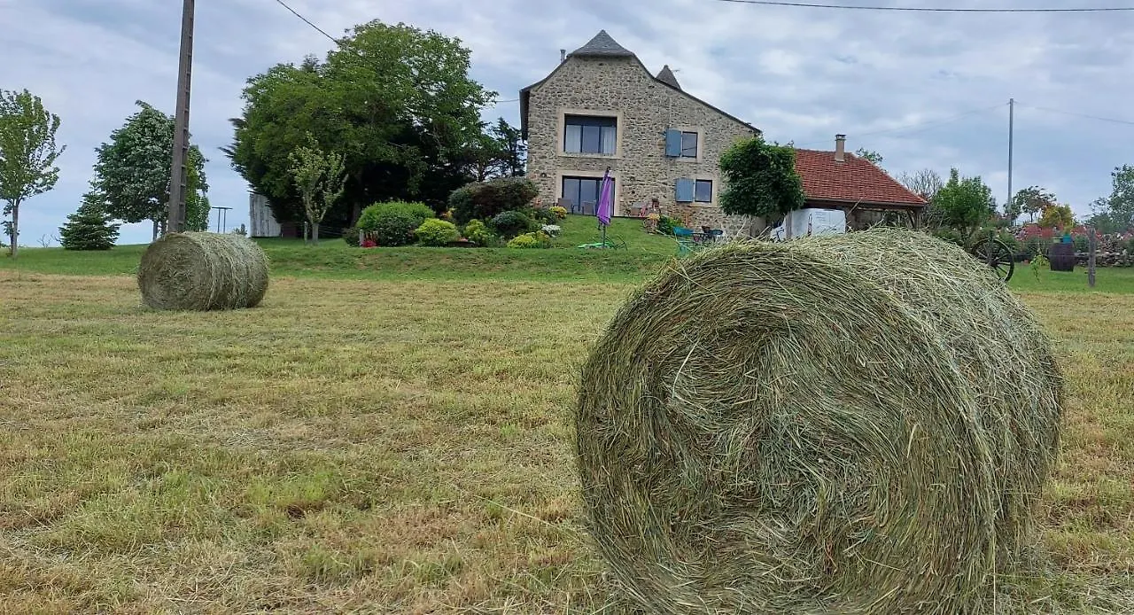 La Croisee Des Arts La Bastide-l'Eveque Bed & Breakfast