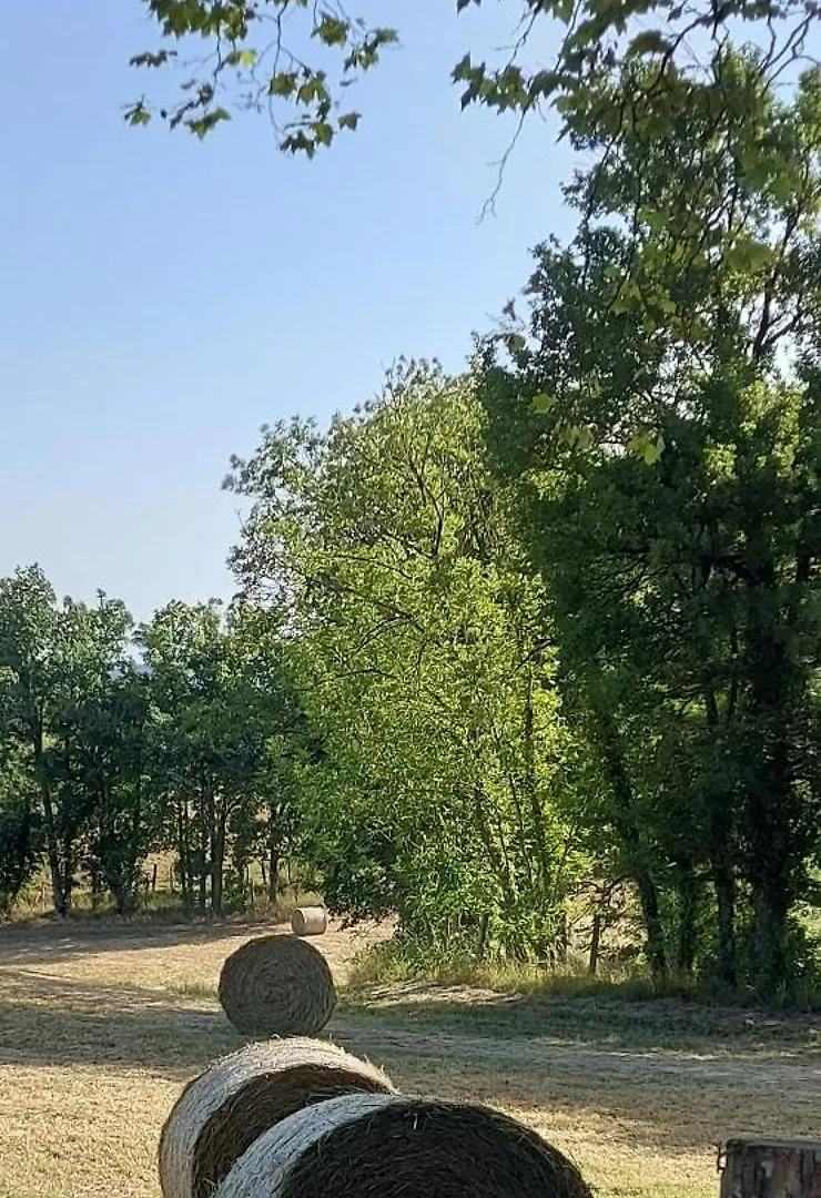 La Croisee Des Arts La Bastide-l'Eveque 0*,  France